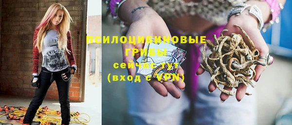 бошки Балахна