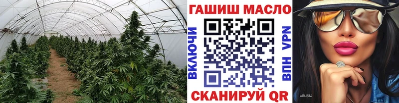 как найти   Подпорожье  Дистиллят ТГК THC oil 